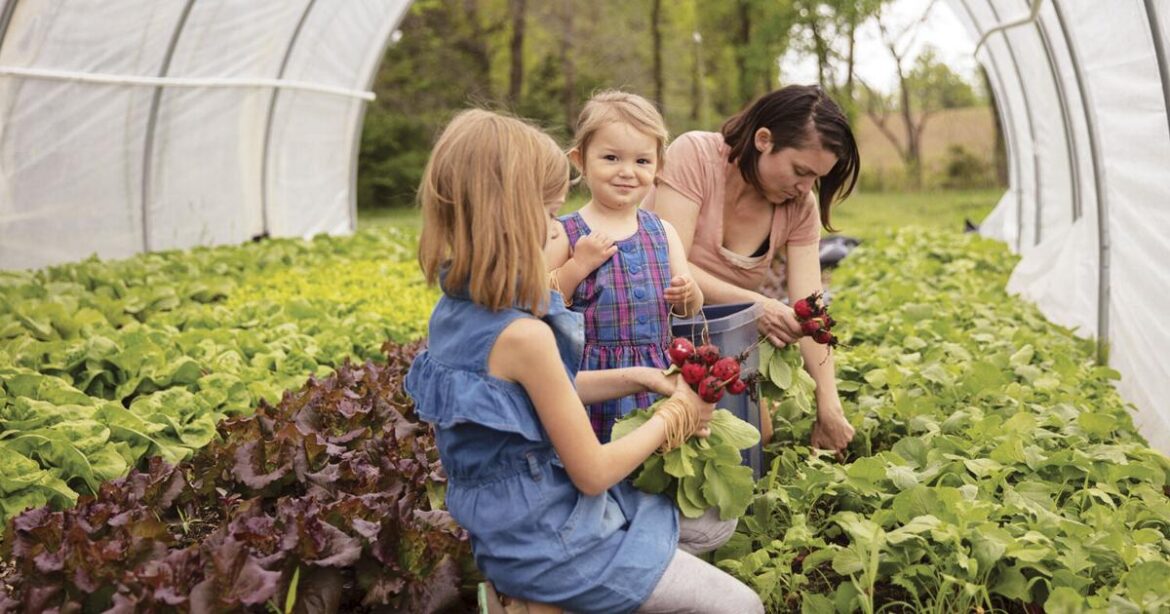 In mid-Missouri, CSAs pave the way for The Sage Garden’s growth