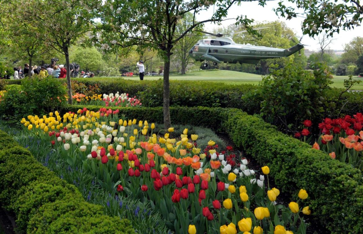 How the White House Rose Garden has changed over the past century