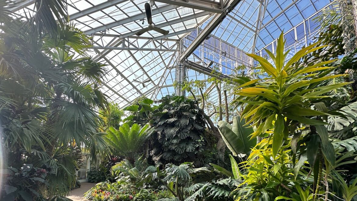 Daniel Stowe Botanical Garden
