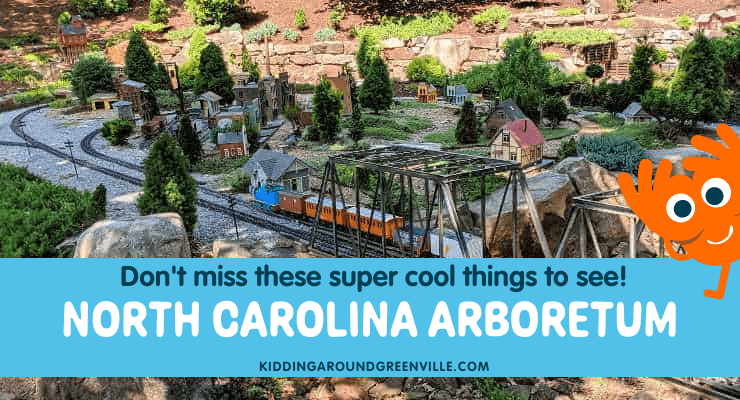 Don’t Skip the NC Arboretum: Coolest Things to Do in the Gardens Don't Skip the NC Arboretum: Coolest Things to Do in the Gardens