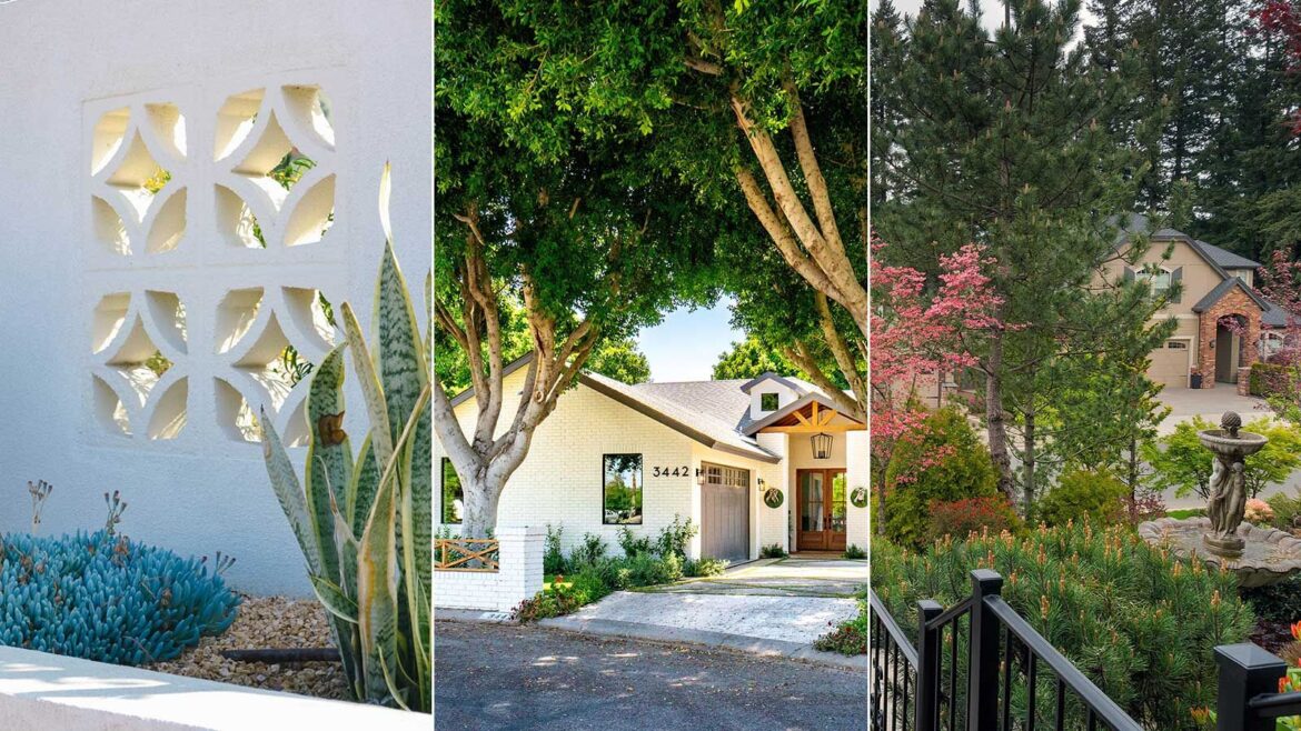 Front yard privacy ideas: 10 stylish screening methods front yard privacy ideas