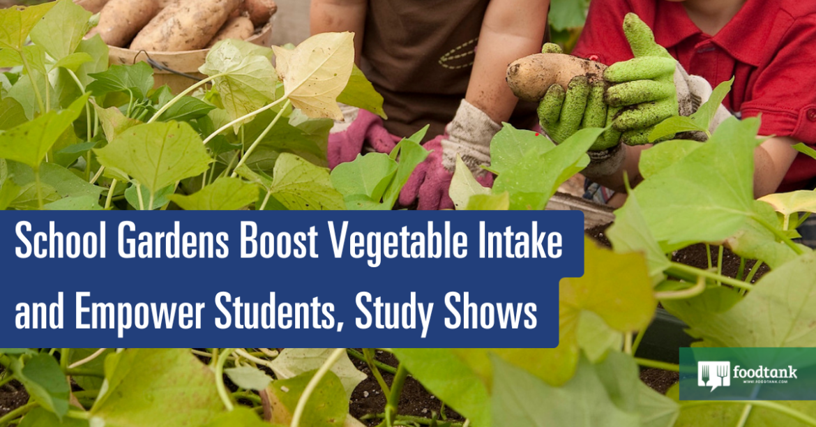 School Gardens Boost Vegetable Intake and Empower Students, Study Shows – Food Tank
