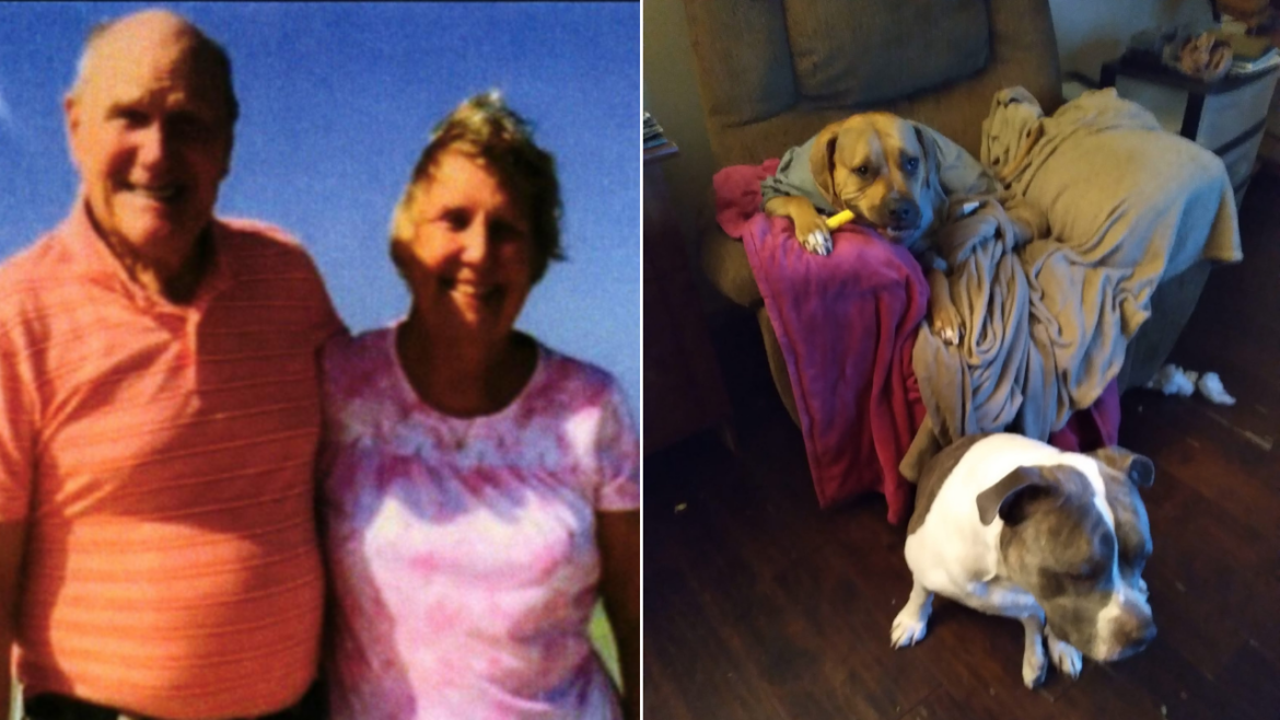 Ohio grandmother’s family files lawsuit after fatal pit bull attack Ohio grandmother's family files lawsuit after fatal pit bull attack