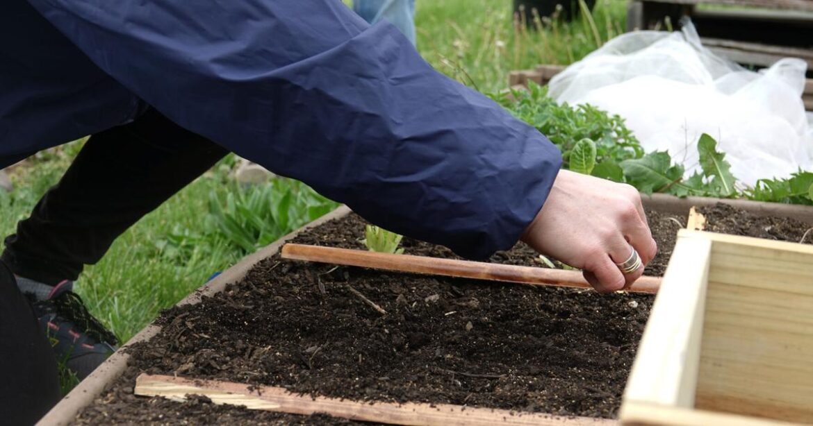 Columbia community gardening group hosts workshop for Earth Day | Mid-Missouri News