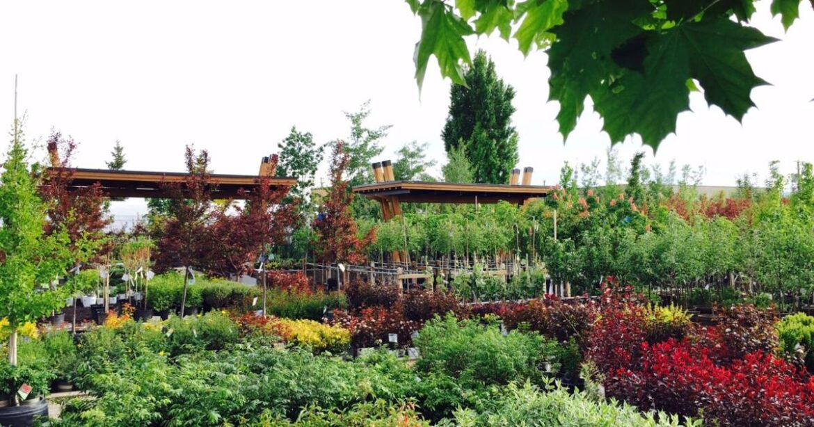 University of Idaho Master Gardener Program featured at Eastern Idaho State Fair | Local University of Idaho Master Gardener Program featured at Eastern Idaho State Fair | Local