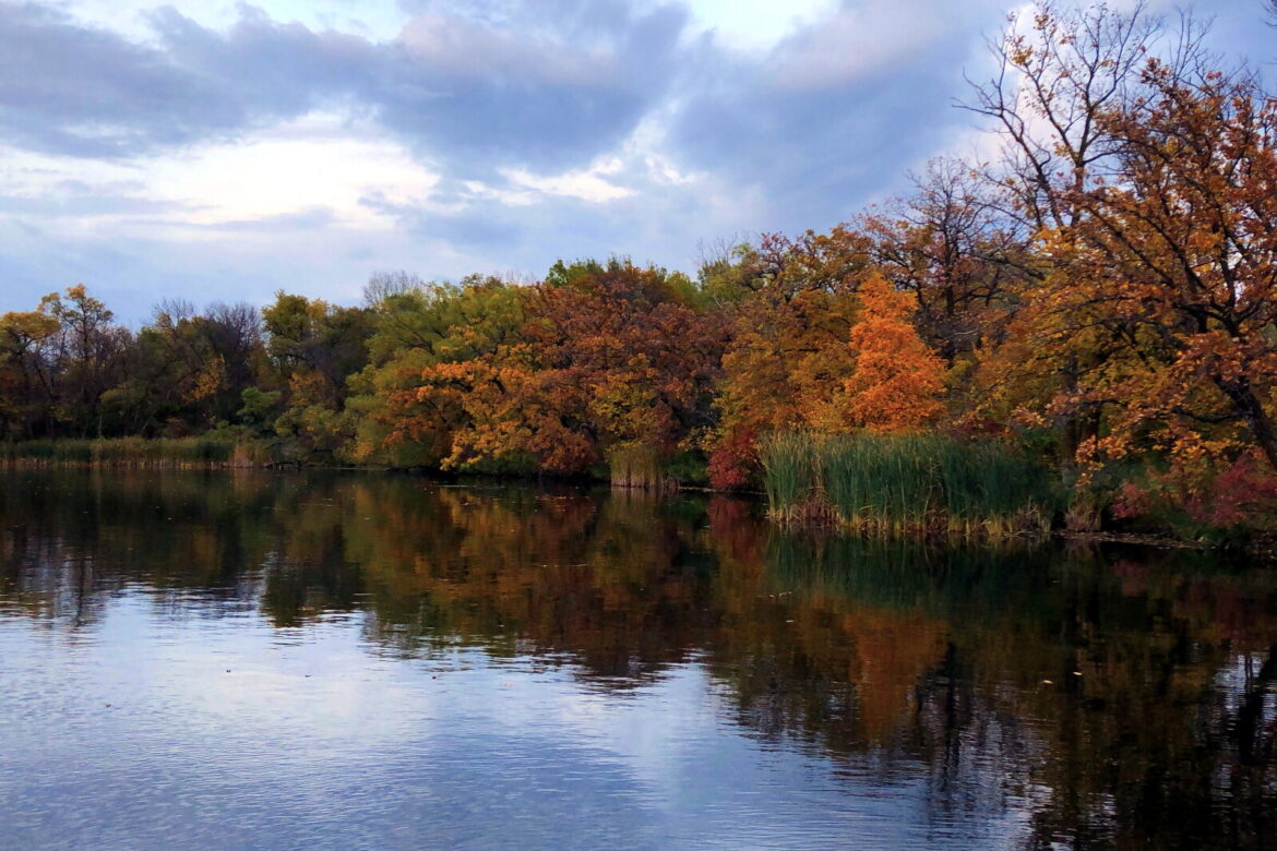 Changing trees can be signs of what's to come for winter - Alexandria Echo Press
