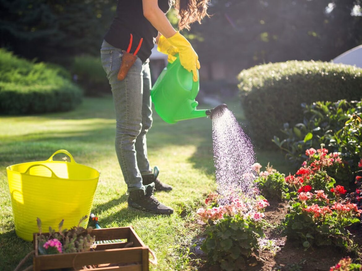 7 Key Gardening Tasks to Handle in August, According to a Pro