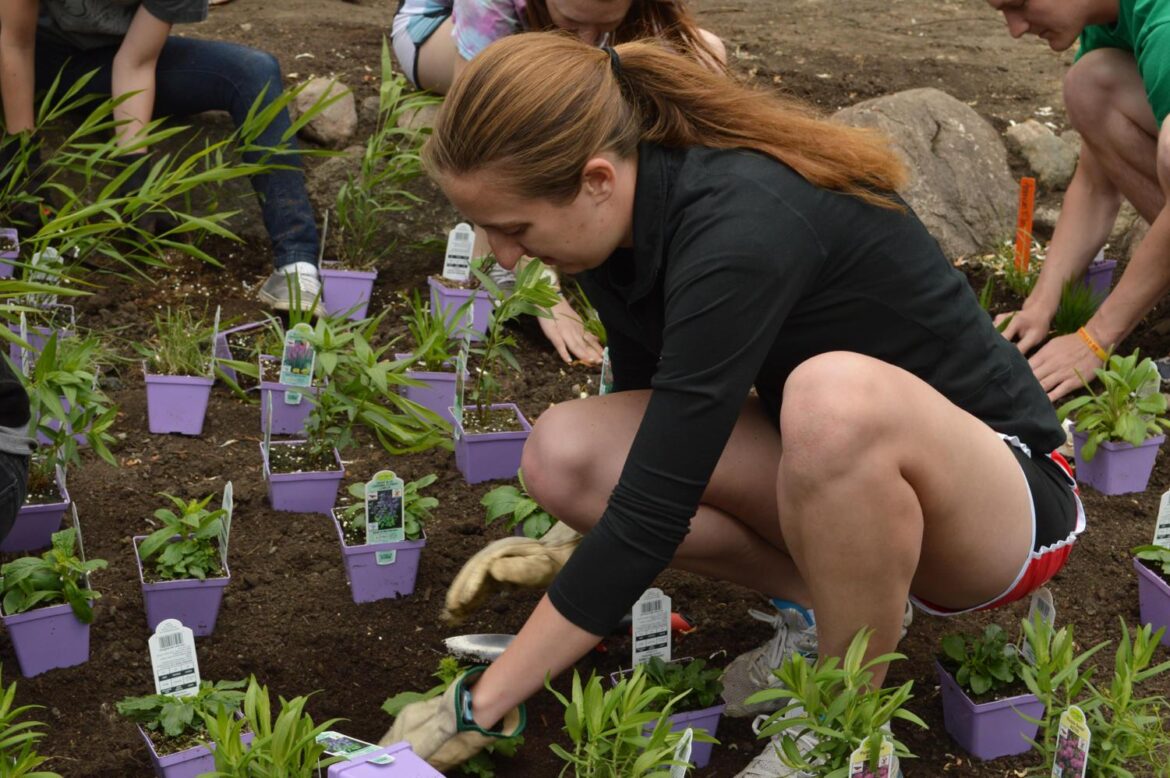 Engineering students start rain gardening – Iowa State Daily Engineering students start rain gardening – Iowa State Daily