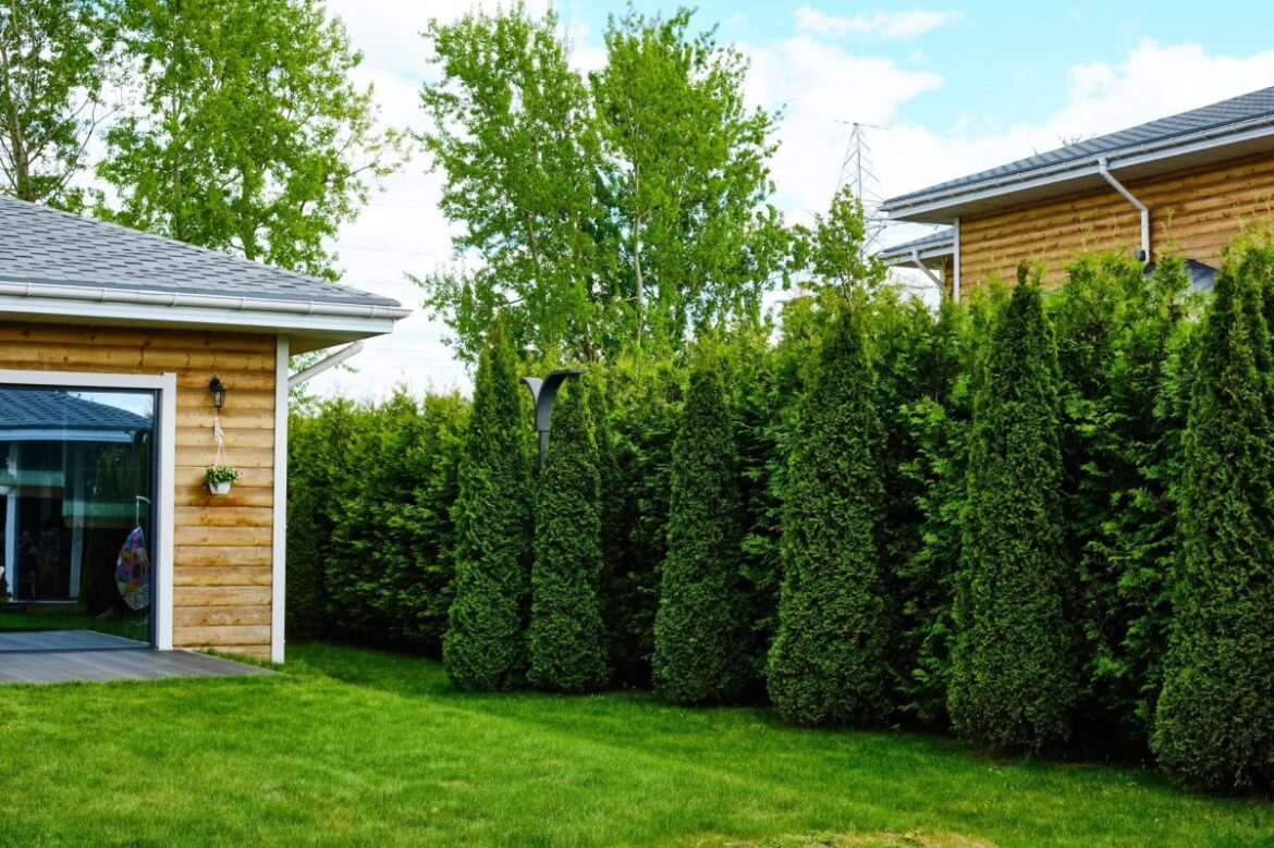 3 Easy Ways to Keep Your Yard Private as the Leaves Start to Fall 3 Easy Ways to Keep Your Yard Private as the Leaves Start to Fall