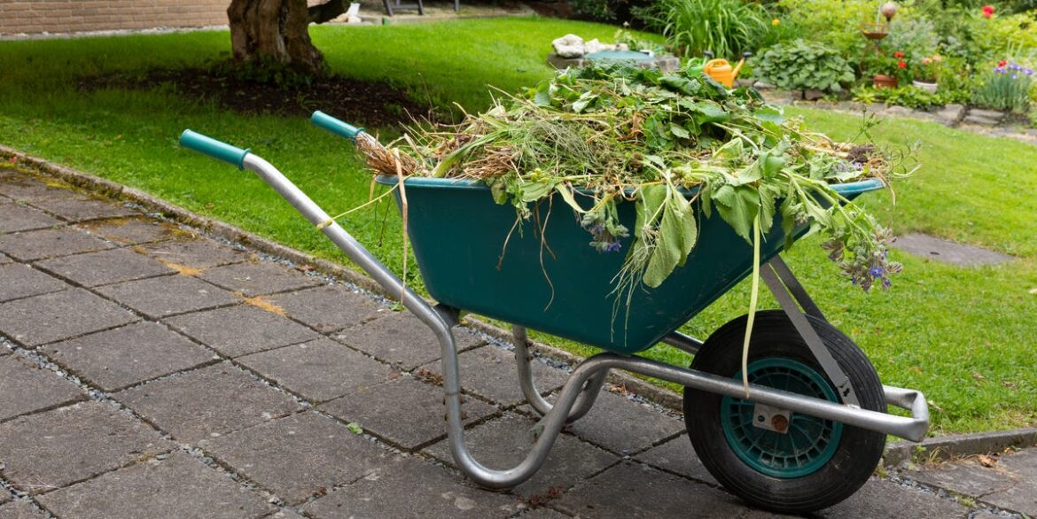 7 Things to Remove from Your Backyard Before Fall