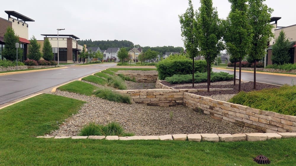 Minnesota rain gardens go big to fight pollution, reuse water MPR News