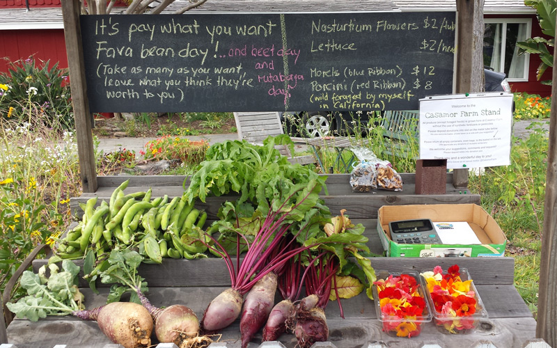 The Most Surprising Little Urban Farm in L.A. Is on a Mar Vista Side Street The Most Surprising Little Urban Farm in L.A. Is on a Mar Vista Side Street