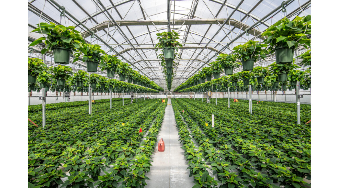 UMaine Extension Offers Webinar on Greenhouse Technology for Growers and Gardeners