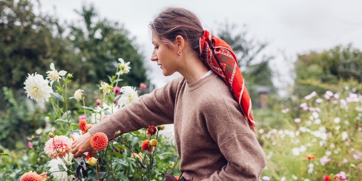7 Fall Gardening Mistakes That Could Ruin Your Perennials 7 Fall Gardening Mistakes That Could Ruin Your Perennials