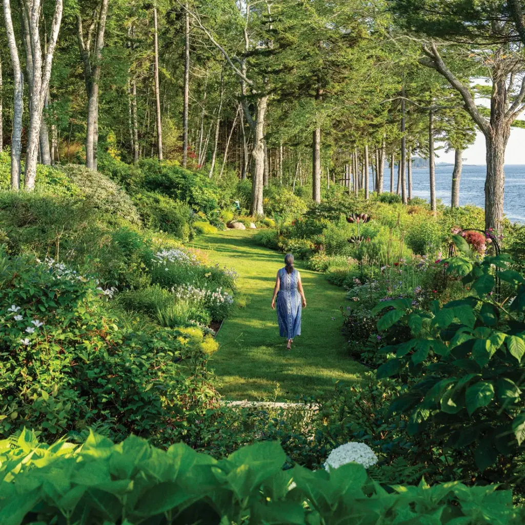 Swaths of Summer Bloomers Color This Barters Island Garden Swaths of Summer Bloomers Color This Barters Island Garden