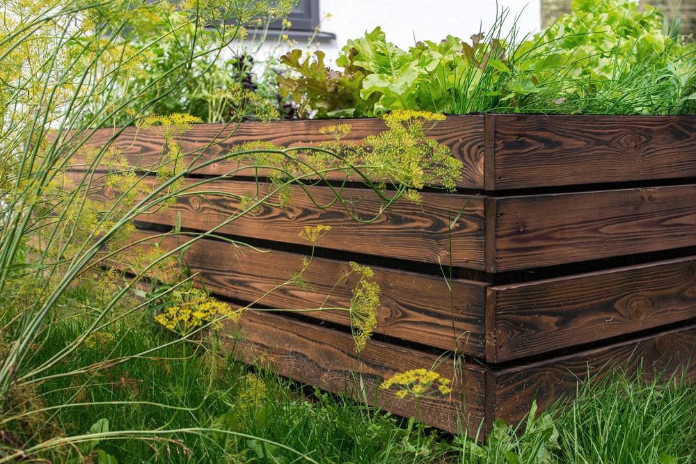 The HOA Approved His Garden — Then a New Board Fined… The HOA Approved His Garden — Then a New Board Fined…