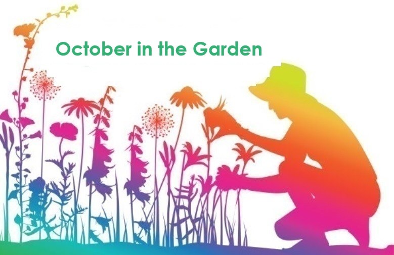 Here’s the October to-do list for Central Florida gardeners Here’s the October to-do list for Central Florida gardeners