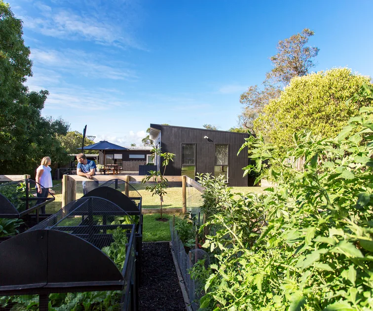 A Low-Maintenance Coastal Cottage Garden A Low-Maintenance Coastal Cottage Garden