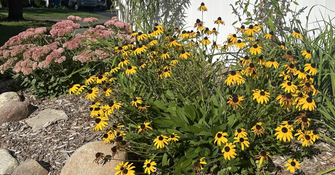 Do’s and don’ts during fall yard clean up Do’s and don’ts during fall yard clean up