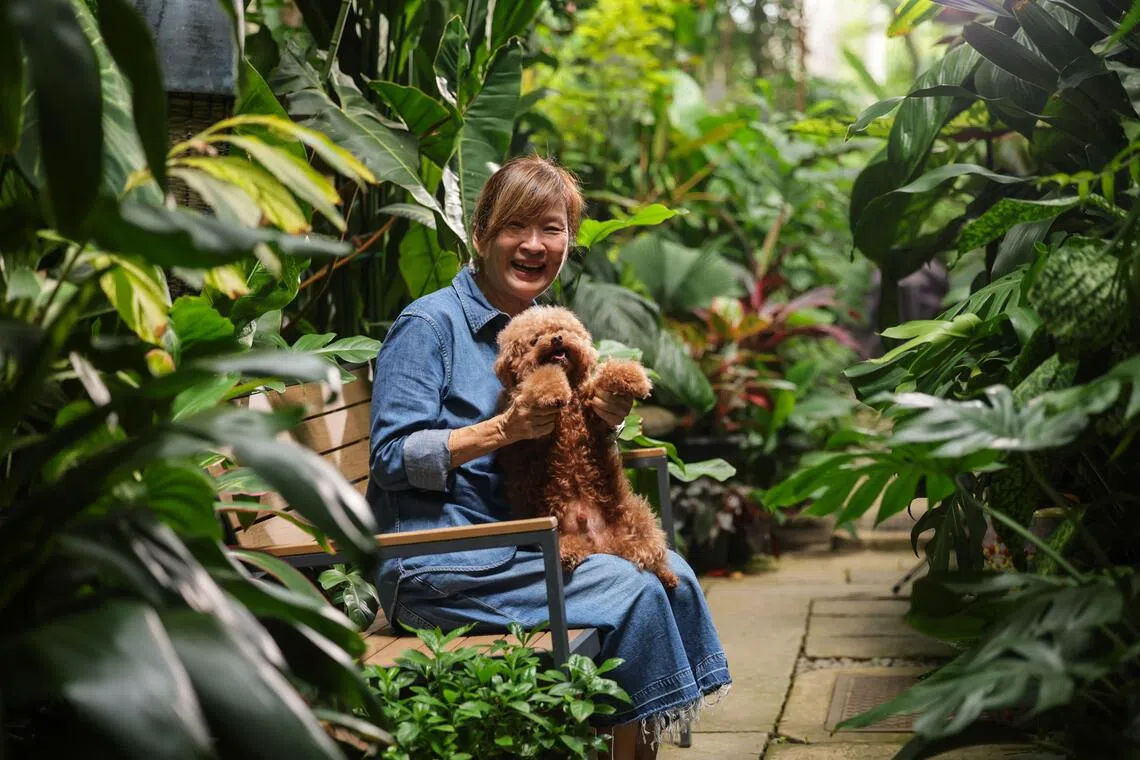 Like her garden, Irene Ngoo is flourishing in a new season of life. Her constant companion is Wisky, a red toy poodle.