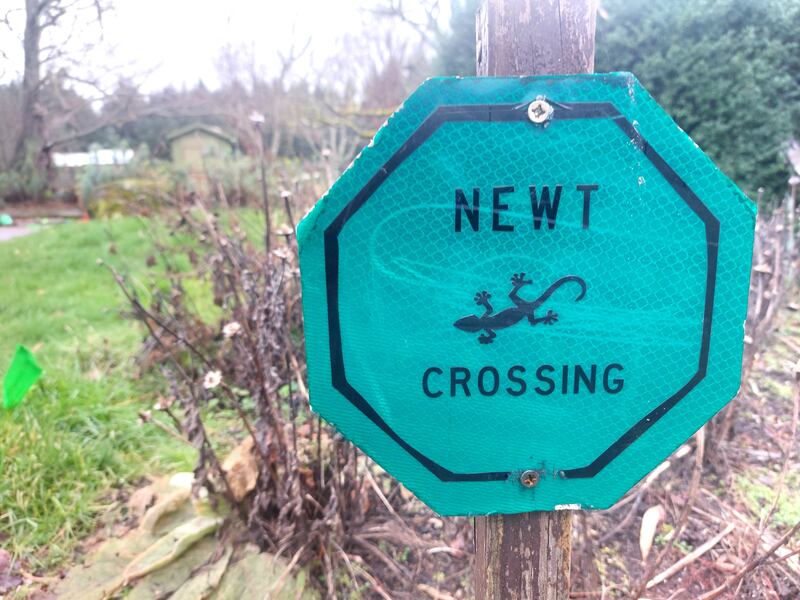 A sign reads Newt Crossing and shows a drawing of a newt