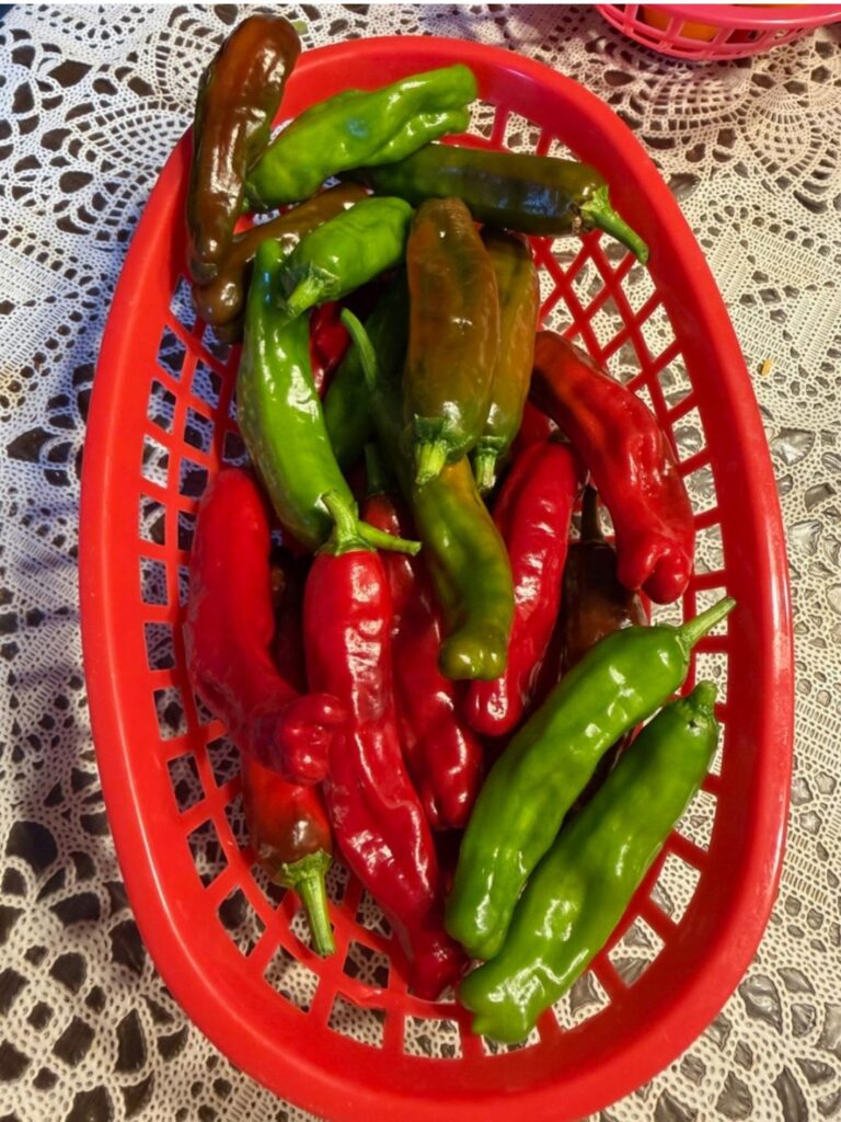 I like when some of my shishitos are red. A lot more flavor in my opinion.