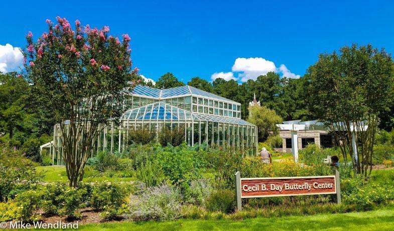 CG butterflyhouse (1 of 1)
