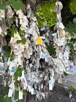 The Wishing Tree near NE 7th and Morris street in Portland, Ore. on July 11, 2025. People have been writing their wishes to attach to the tree since 2013.