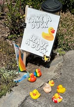 One of the longest running Sidewalk Joy map entires is an informal duck exchange in Portland, Ore. which has been ongoing since 2011. A handful of ducks were ready for adoption on July 11, 2025.