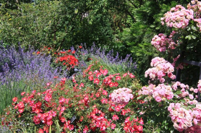 11 stunning public gardens in Pennsylvania