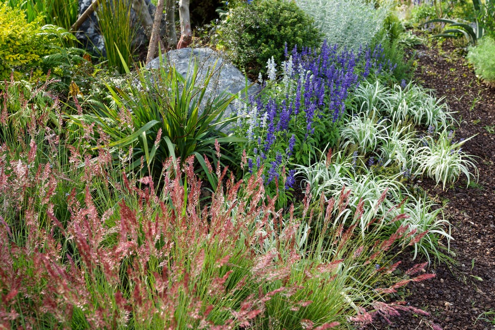 Colorful Perennial Garden Border colorful perennial garden border