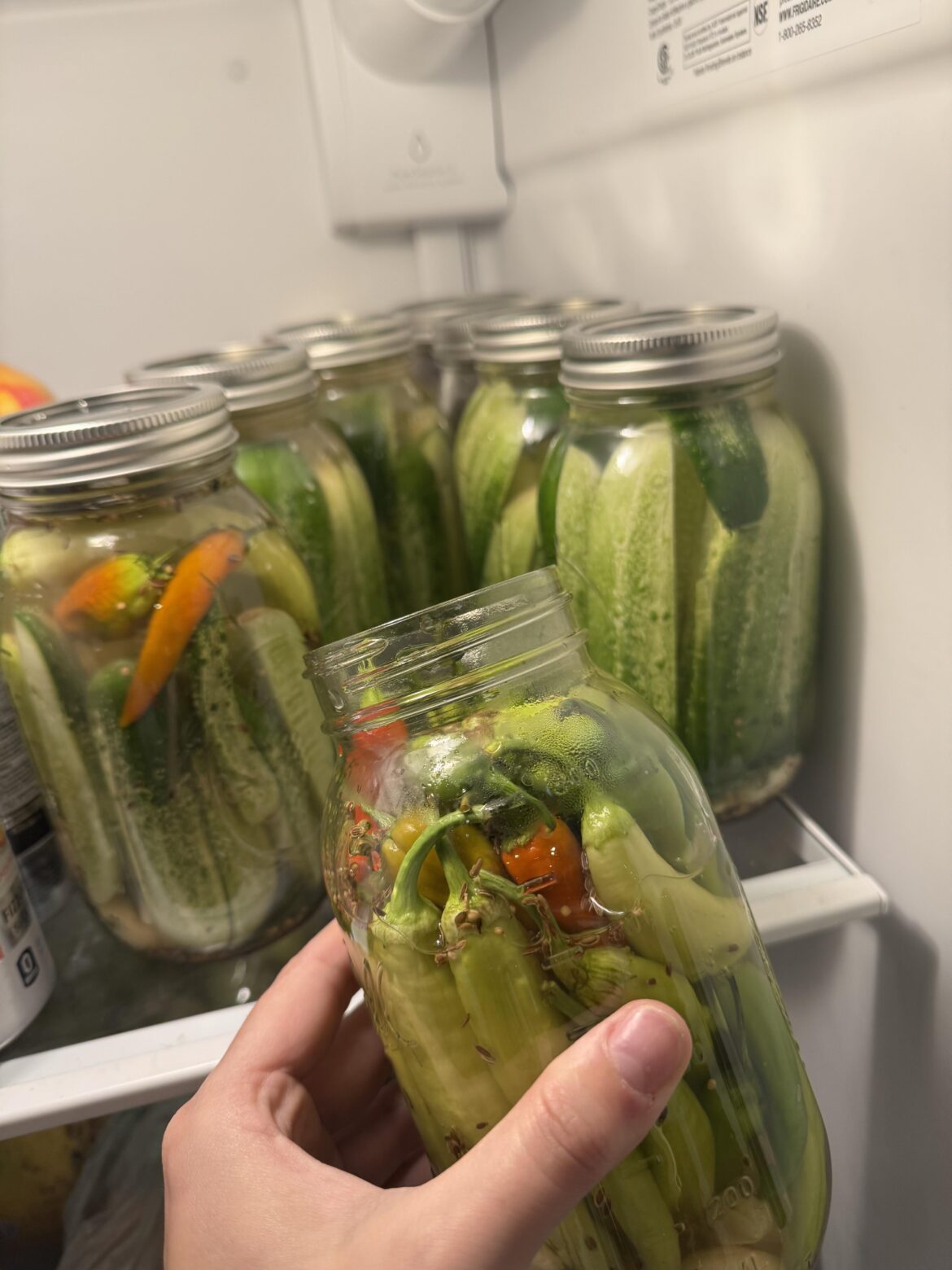 Finally successful with a second round planting of cucumbers! (Planted again in August)