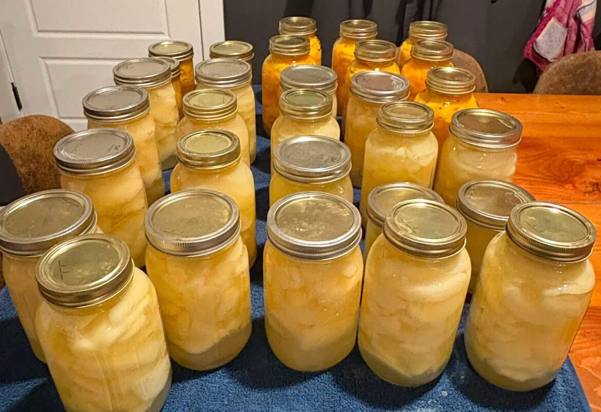 Canned some pears tonight!