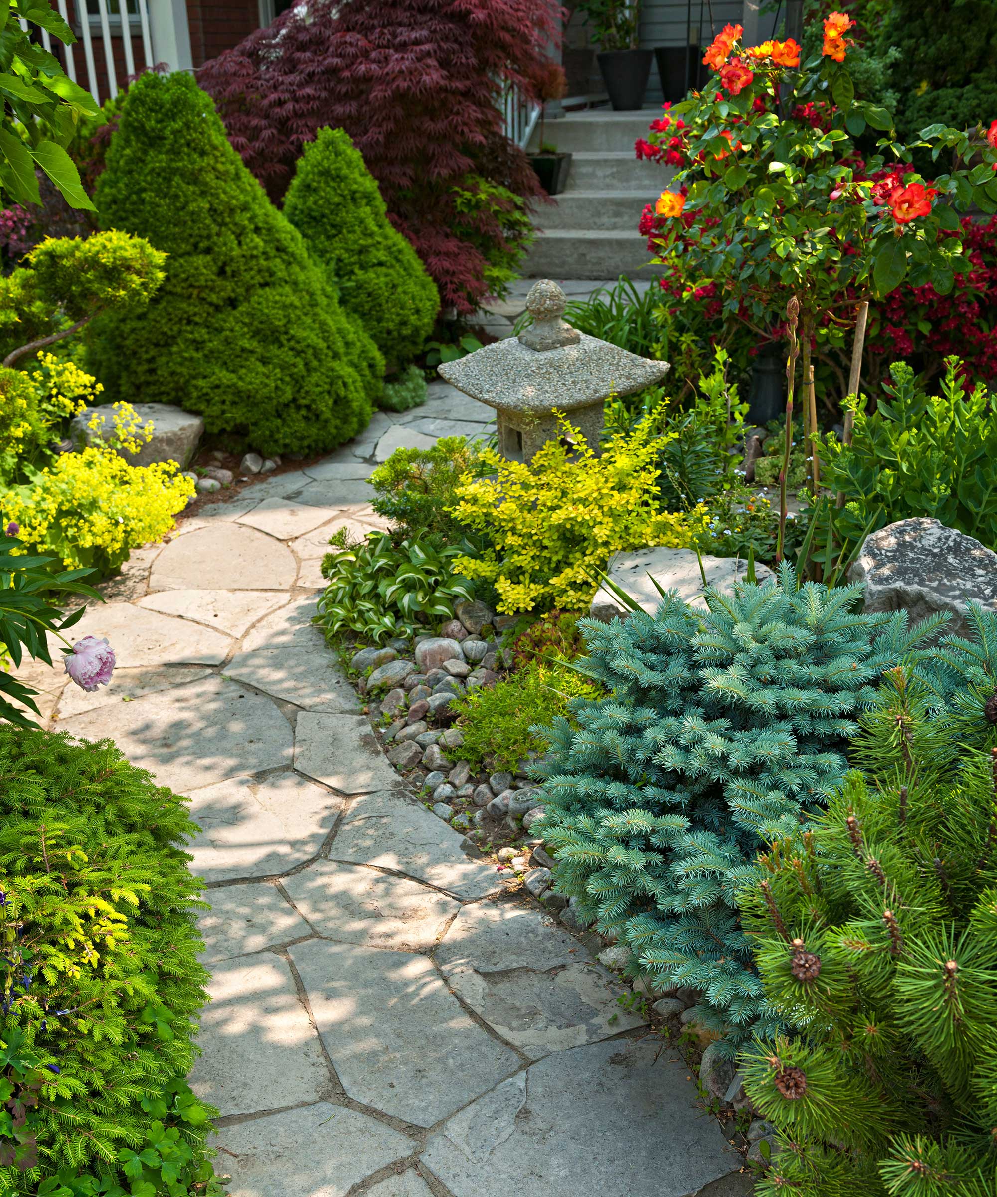 front yard path with planting