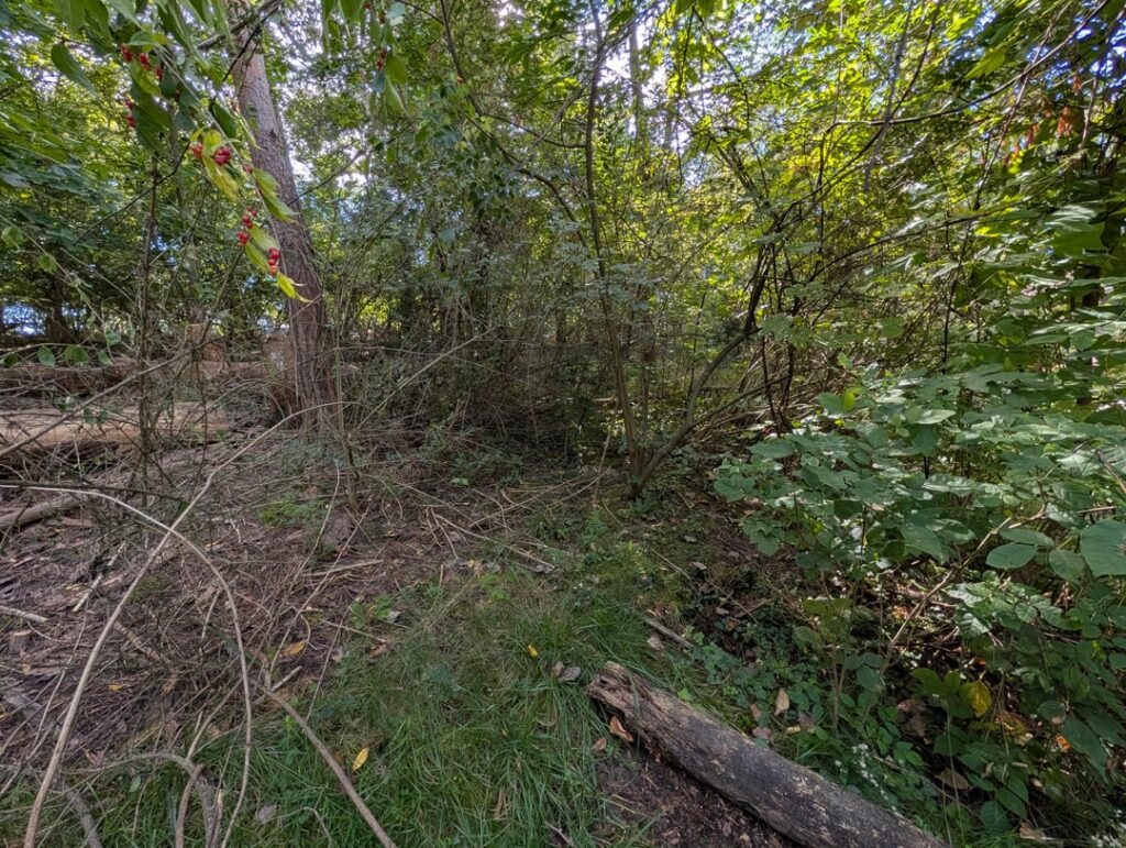 Would a 48-in brush hog work for this? Would a 48-in brush hog work for this?