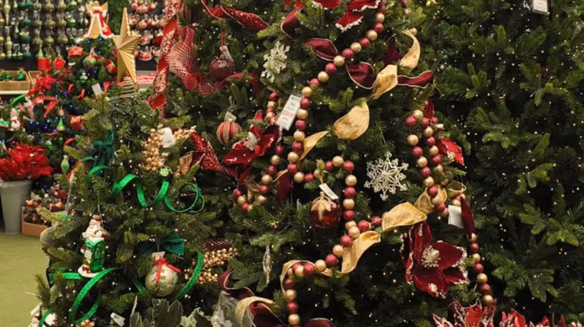 Christmas ‘officially arrives’ at popular North East garden centre full of childhood memories Chronicle Live