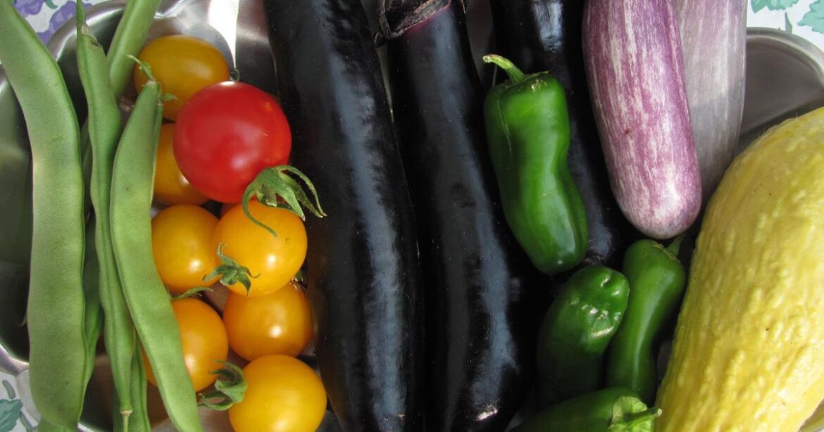 How to be a vegetable gardener in Cheyenne | Outdoors