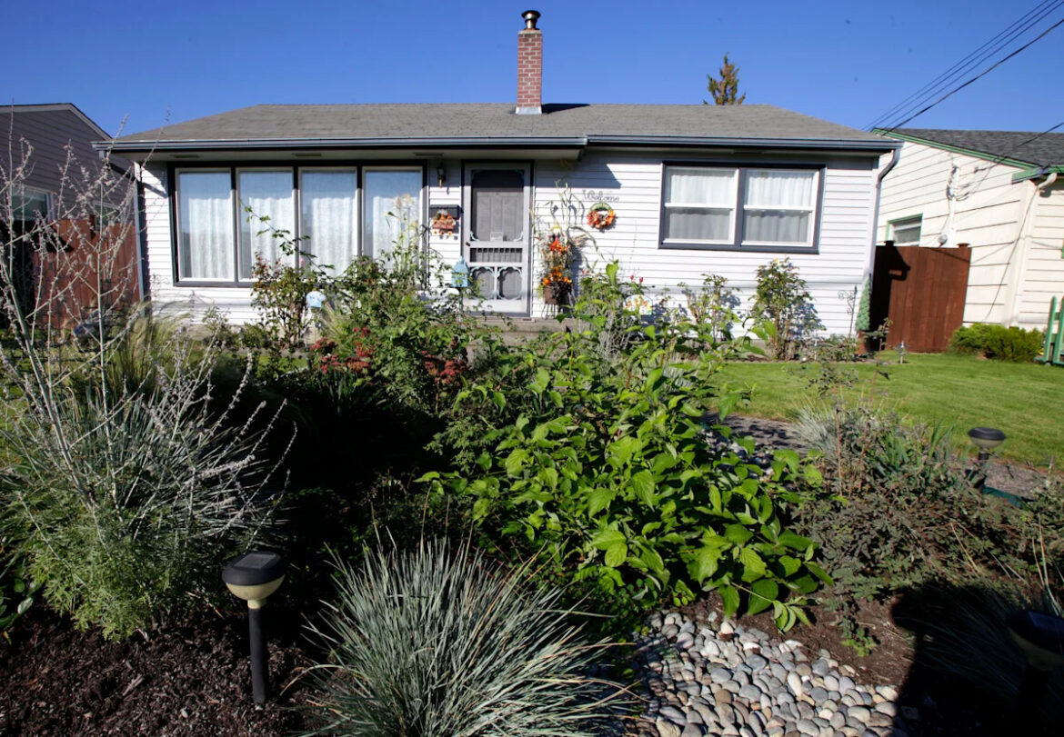 Rain gardens help handle today’s downpours. And they can be beautiful too Rain gardens help handle today's downpours. And they can be beautiful too
