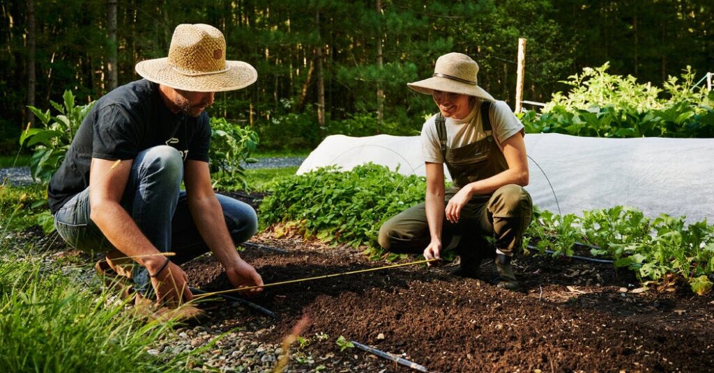 How to Grow Vegetables All Year Round How to Grow Vegetables All Year Round