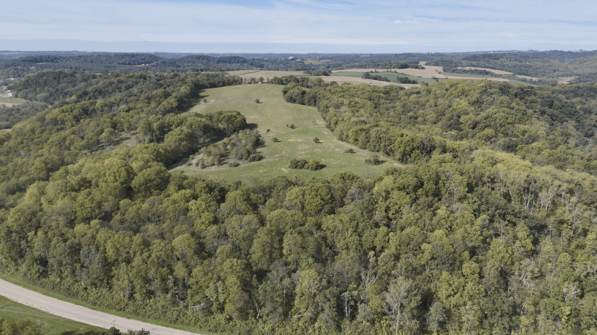 What would you grow in 65 acres of walnut woods? Exploring agroforestry in SW Wisconsin What would you grow in 65 acres of walnut woods? Exploring agroforestry in SW Wisconsin