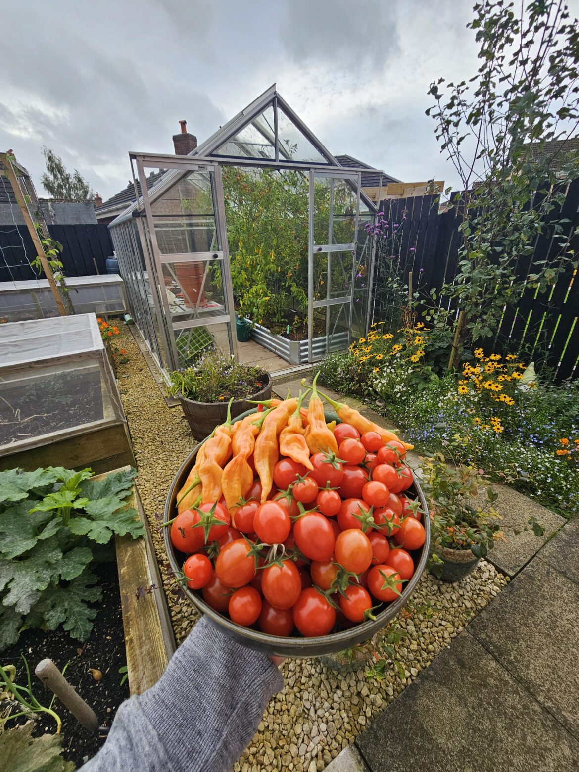 We may be approaching the last harvest of the year