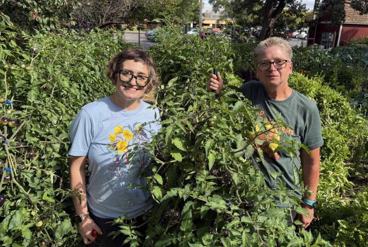 How St. Cloud State’s Community Garden Stays Productive For 22 Years How St. Cloud State's Community Garden Stays Productive For 22 Years