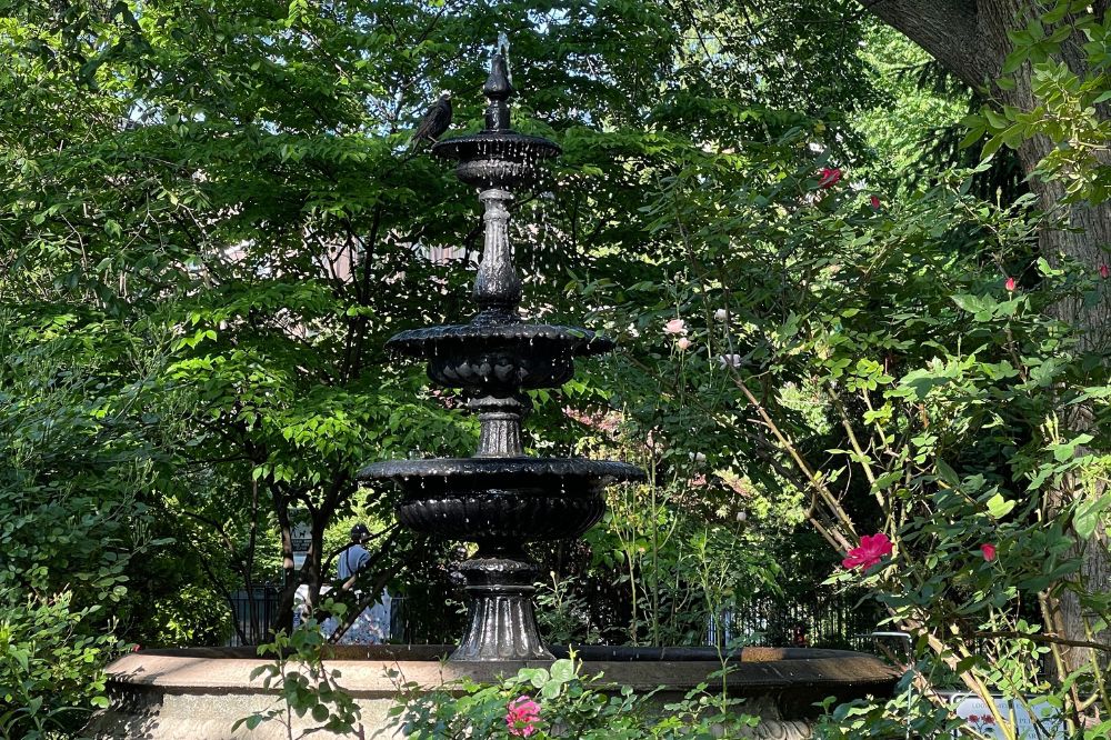 The Best New Jersey Gardens to Visit This Summer nj gardens