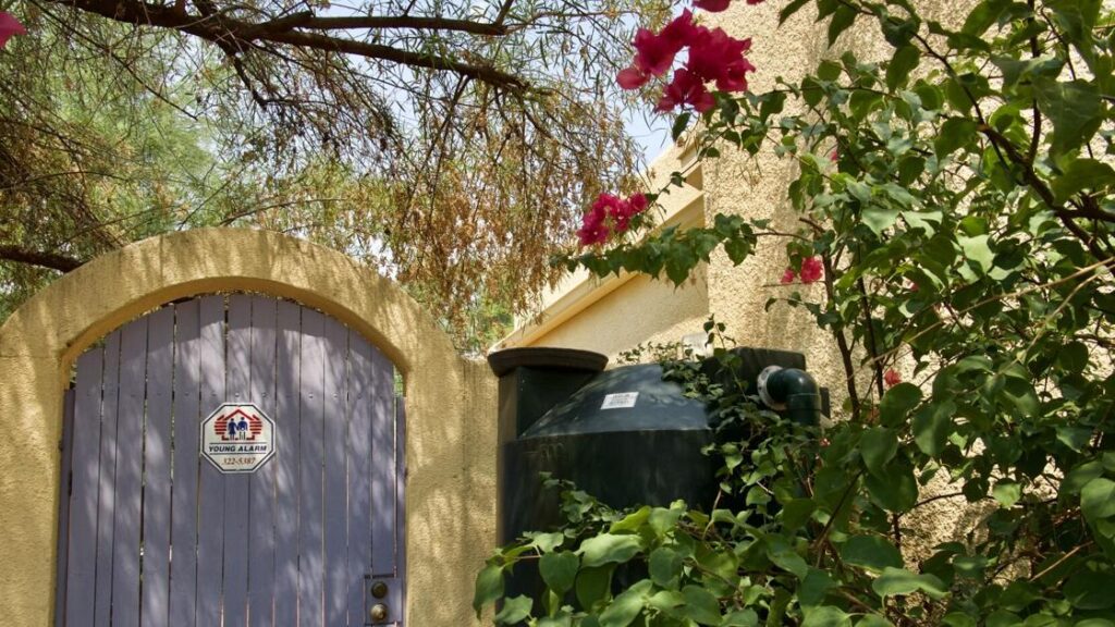 Earth-friendly gardening tips: How to be an environmentally-friendly gardener in Southern Arizona
