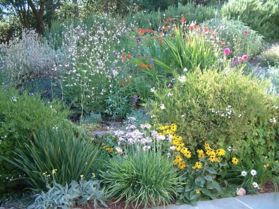 Gardening with California natives talk among upcoming garden events – Marin Independent Journal Gardening with California natives talk among upcoming garden events – Marin Independent Journal