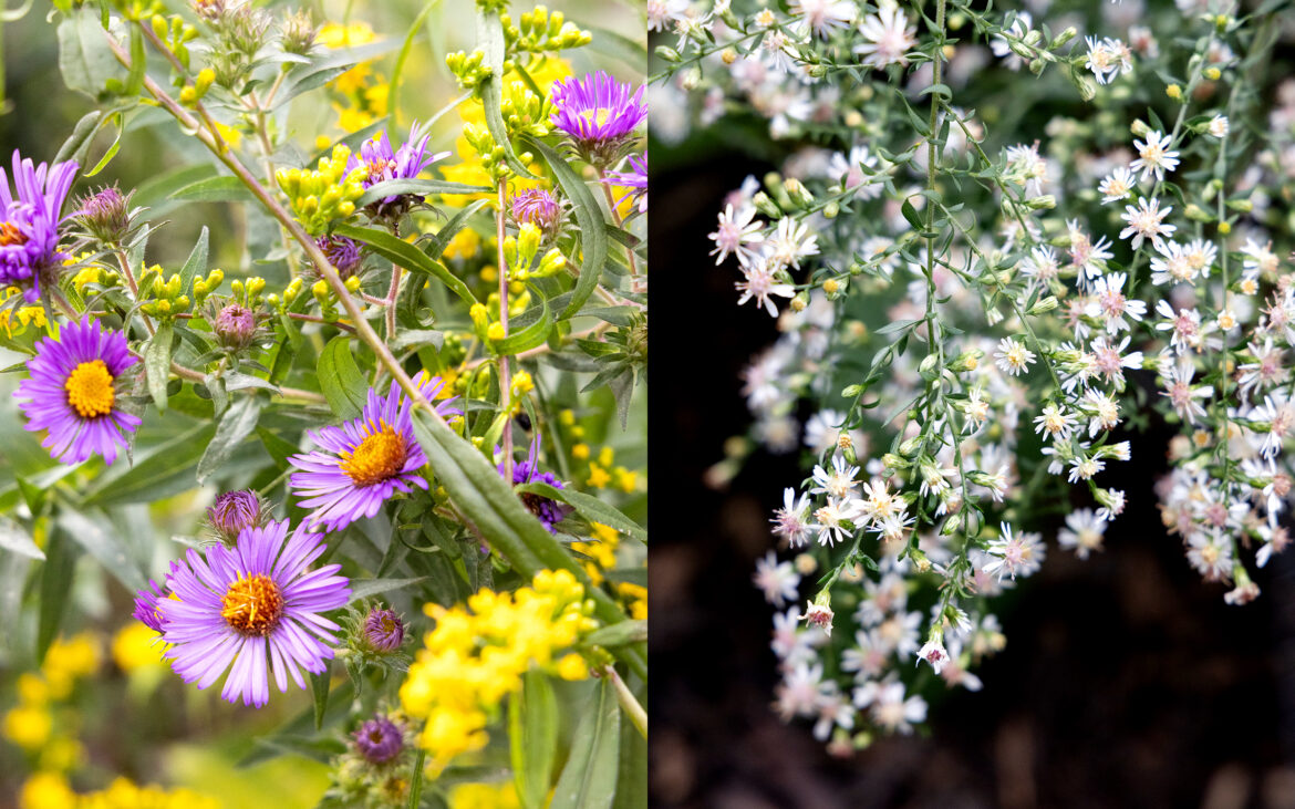 October Gardening: How to Get Ahead of Winter October Gardening: How to Get Ahead of Winter