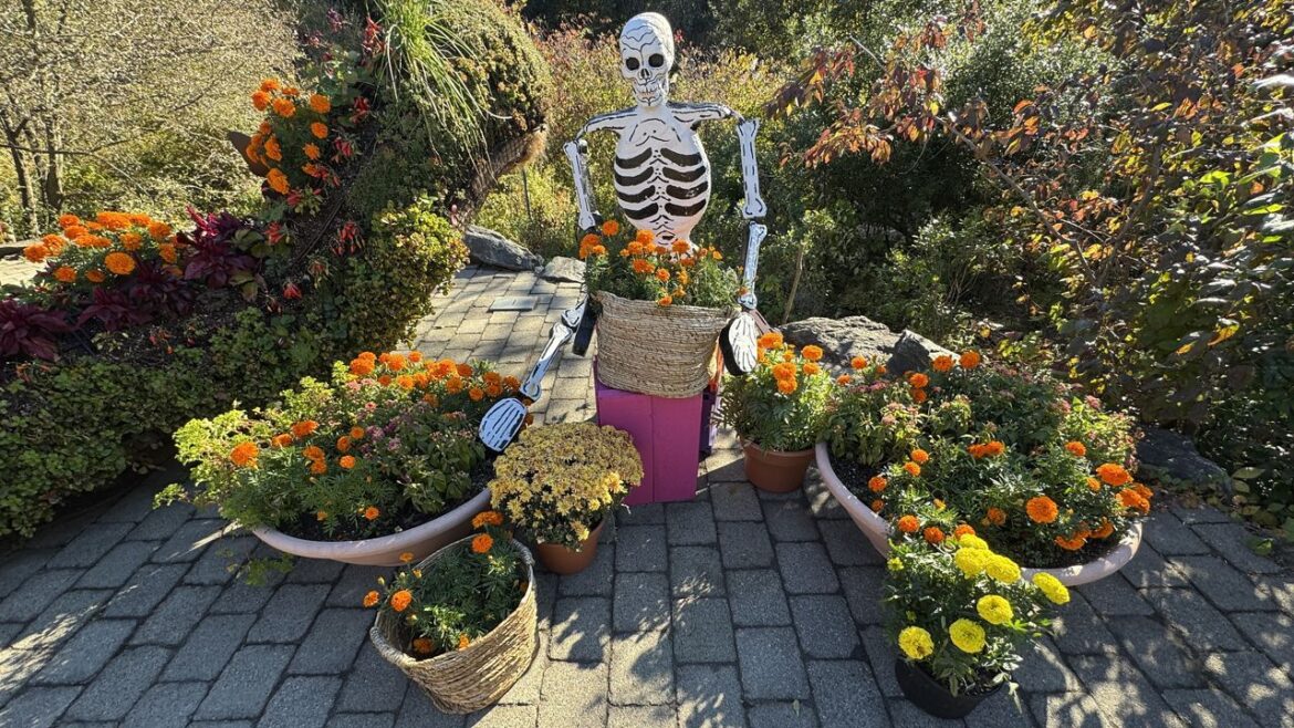Celebrating the fall season at the New York Botanical Garden