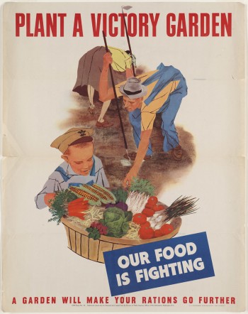 Victory Garden: Start Your Own Backyard Garden Victory Garden: Start Your Own Backyard Garden