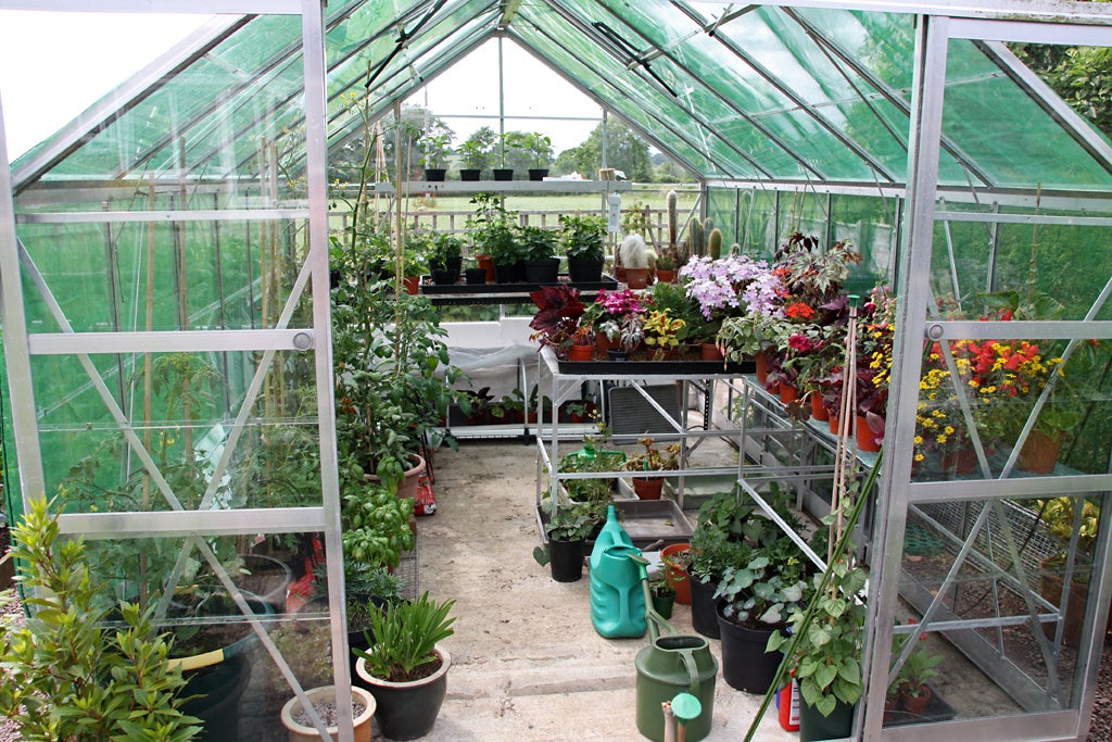 Year-round gardening is within reach Inside view of a greenhouse with potted plants and flowers on shelves and the ground, green watering cans on the floor, and sunlight coming through the glass roof and walls.