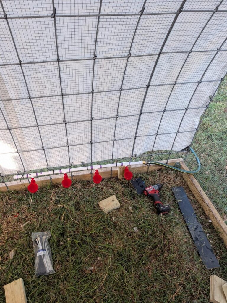 Winterizing my chicken watering setup (Texas) Winterizing my chicken watering setup (Texas)